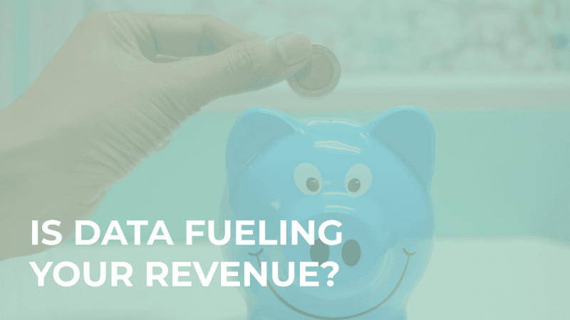 TOUCAN-TOCO-—-Article-image-2